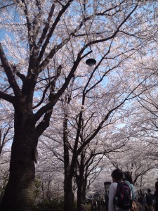 FB_IMG_13963305704702150